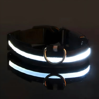 LED Dog Collar