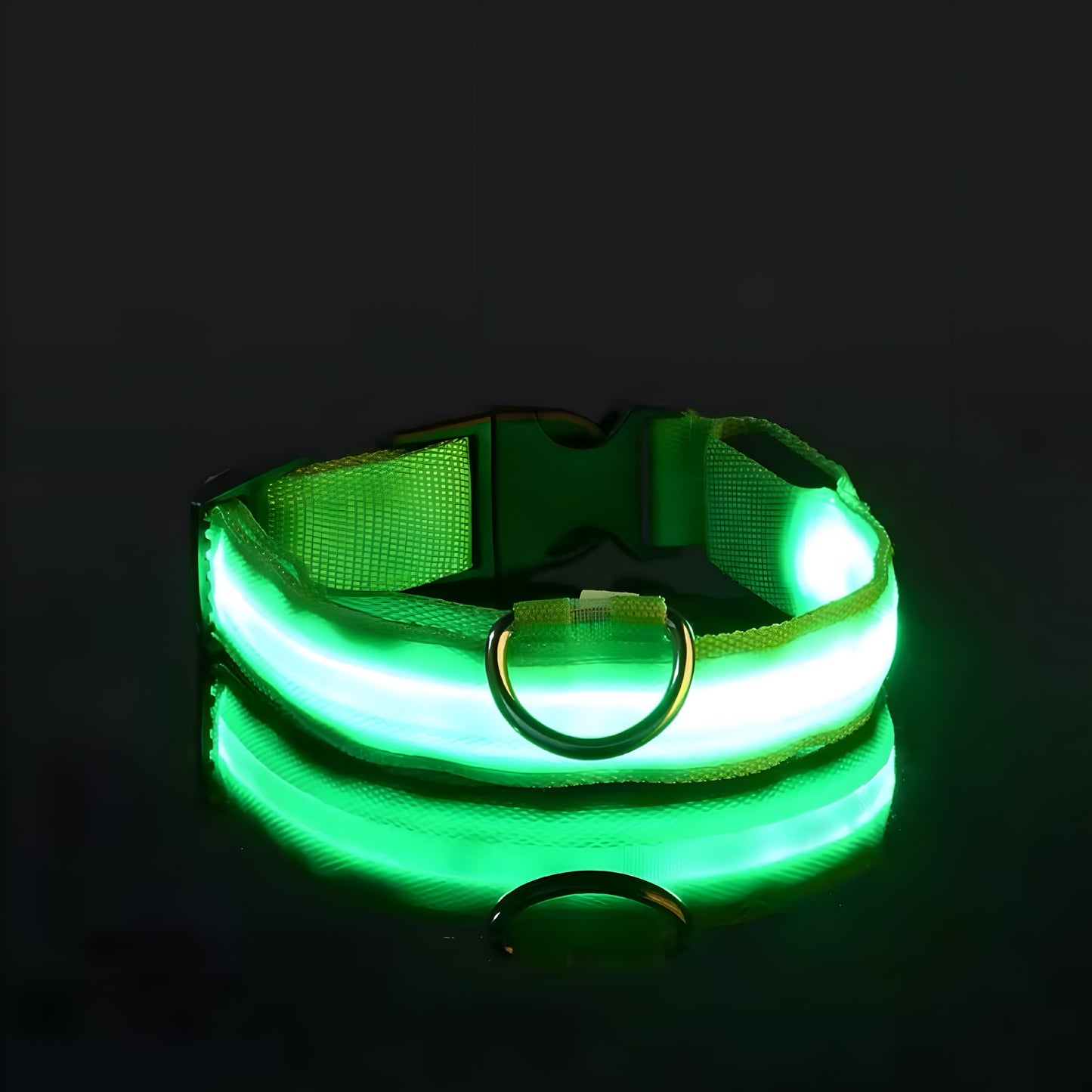 LED Dog Collar